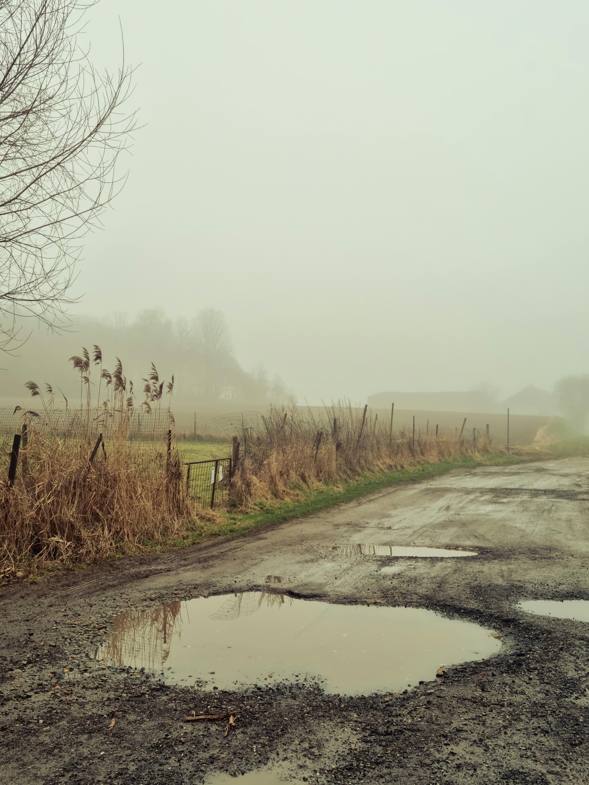 Small cracks in the road becoming potholes and small ponds. - Product Image
