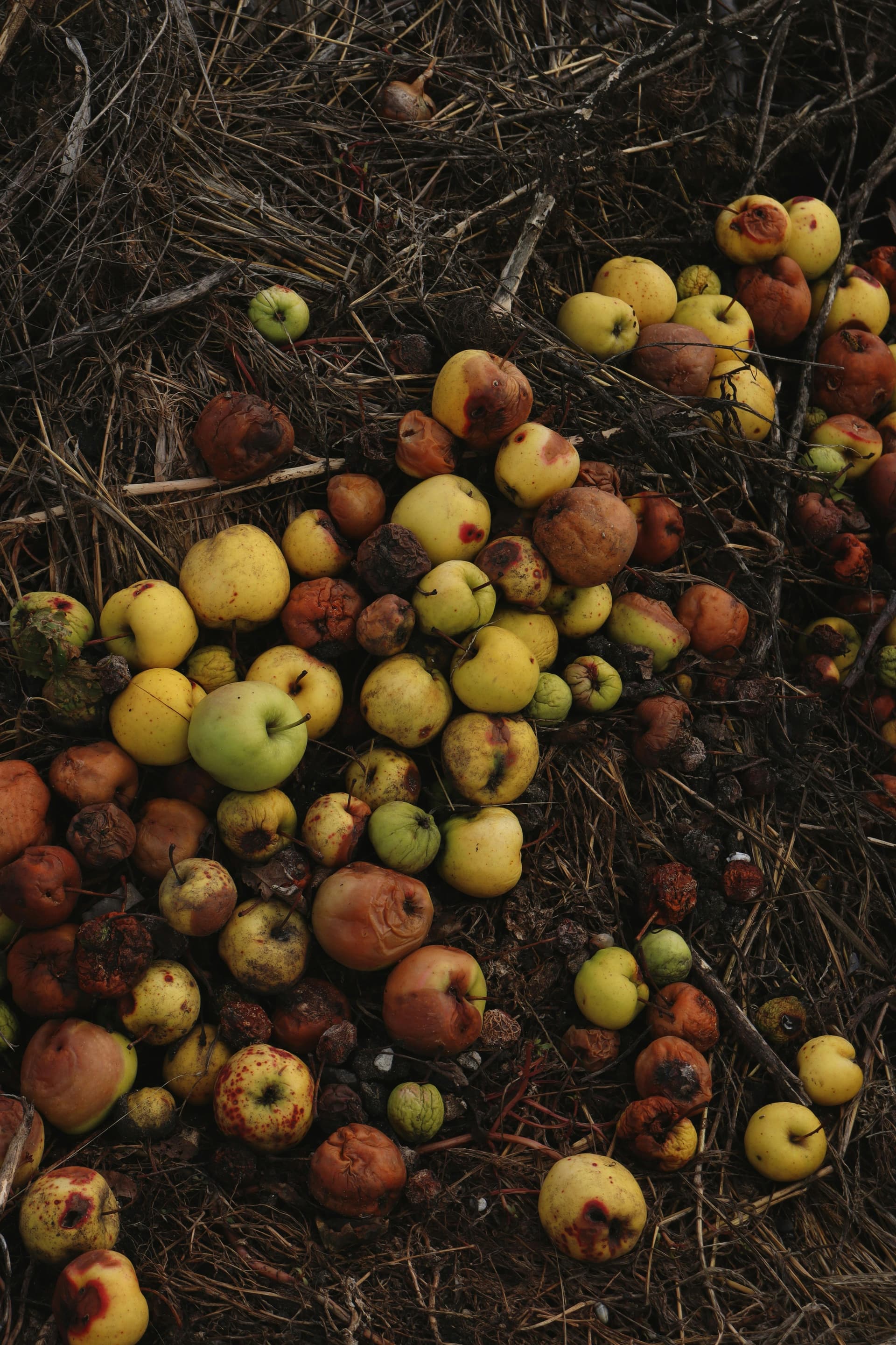 90,000 crore worth of farmers products goes to waste due to deficit cold storage. - Product Image