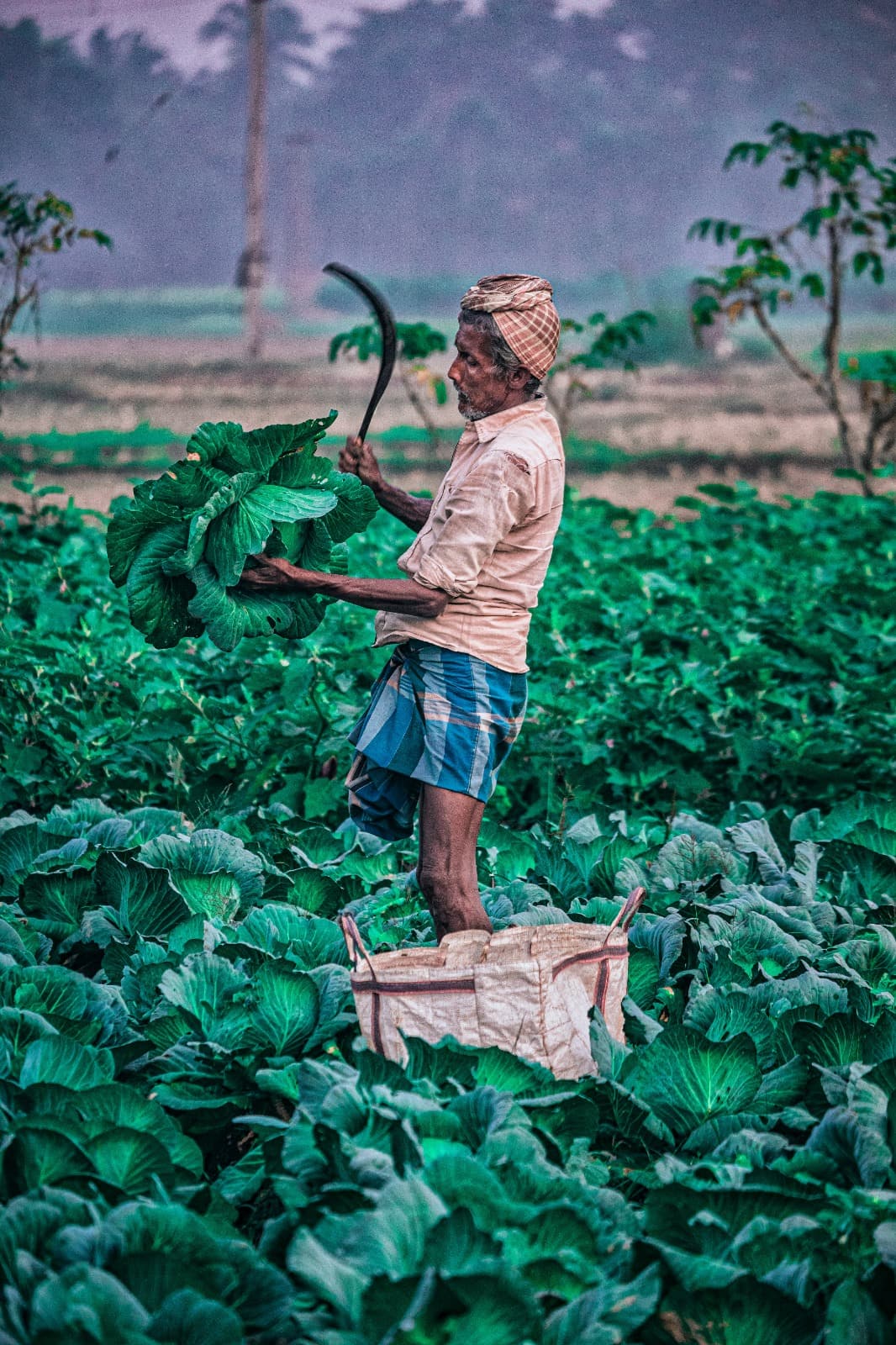 We have franchises for pizza and coffee, why not for village farming. product