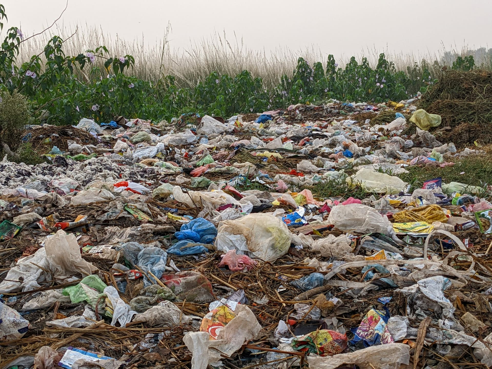 We buy it, we use it, we throw it. Plastic recycling. - Product Image