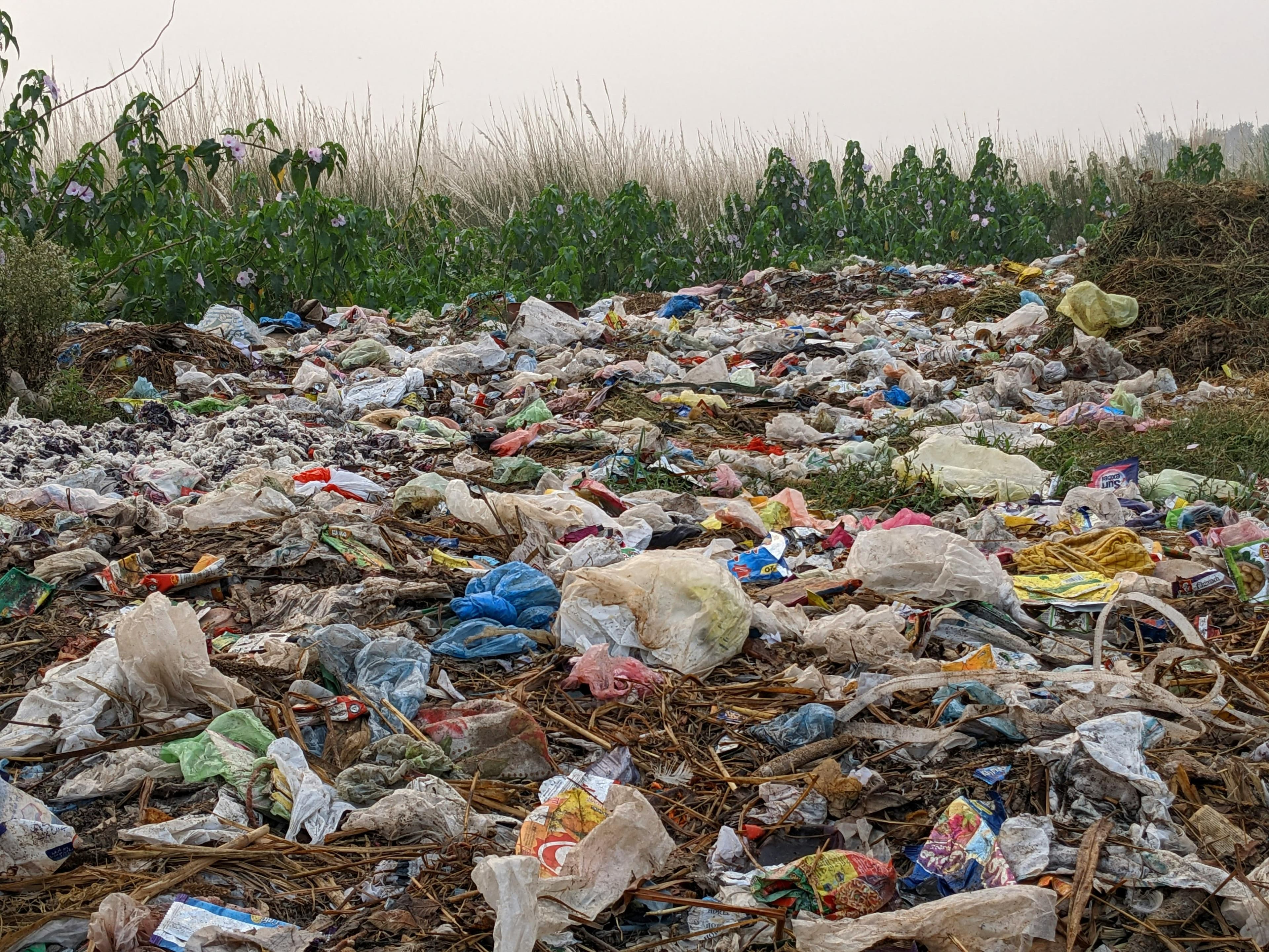 We buy it, we use it, we throw it. Plastic recycling. product