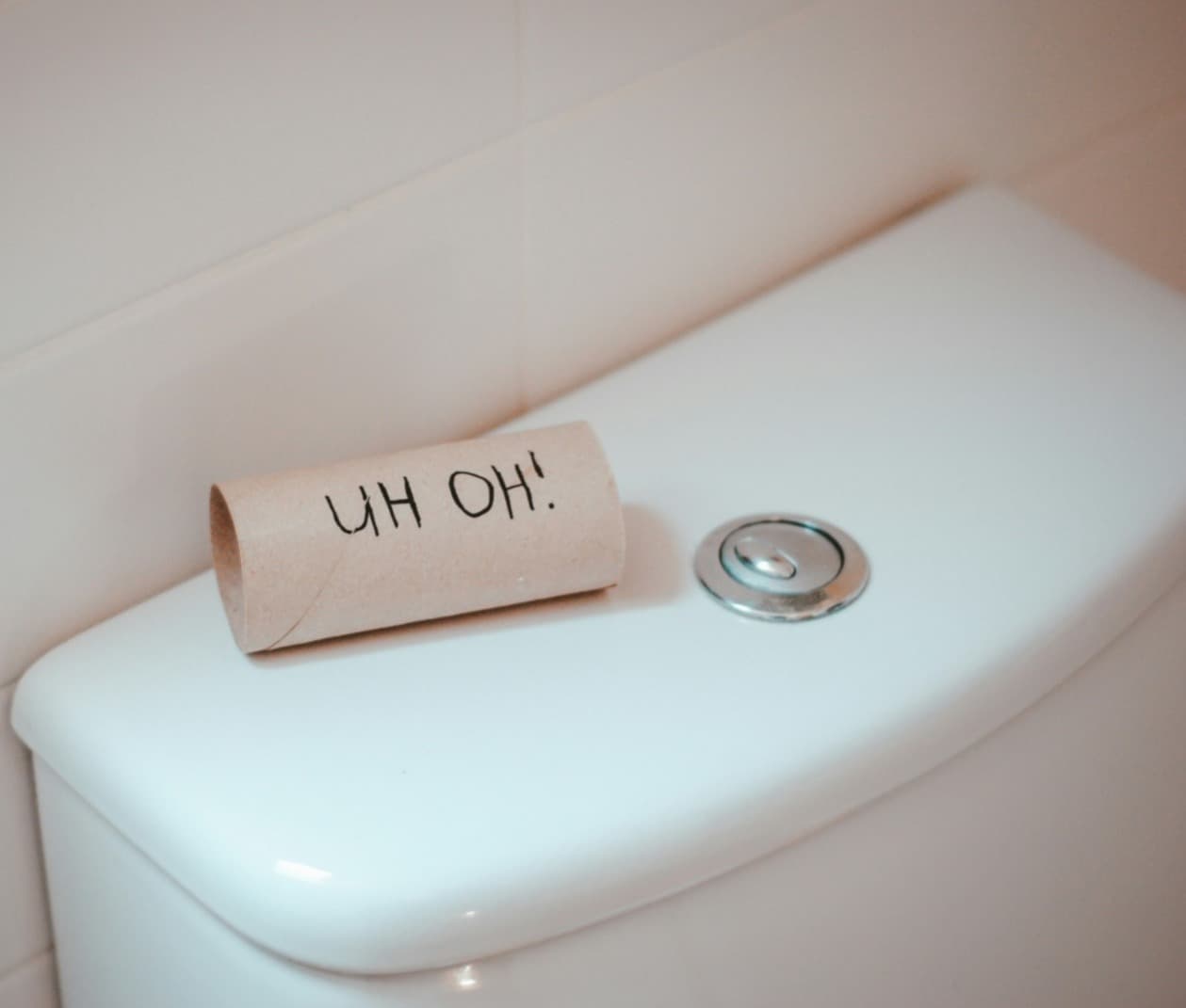 Every morning is a battlefield and all I want is to poop in peace. product